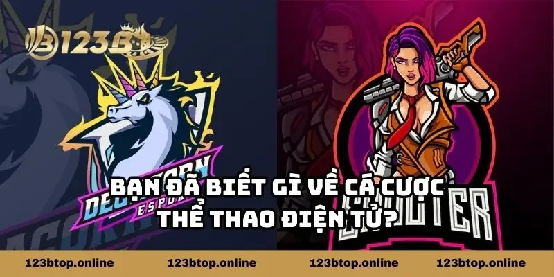 Bạn đã biết gì về cá cược thể thao điện tử?