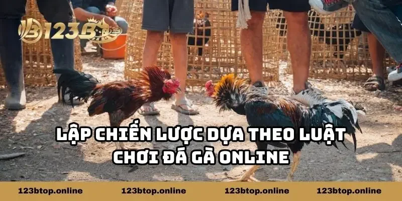 Lập chiến lược dựa theo luật chơi đá gà online