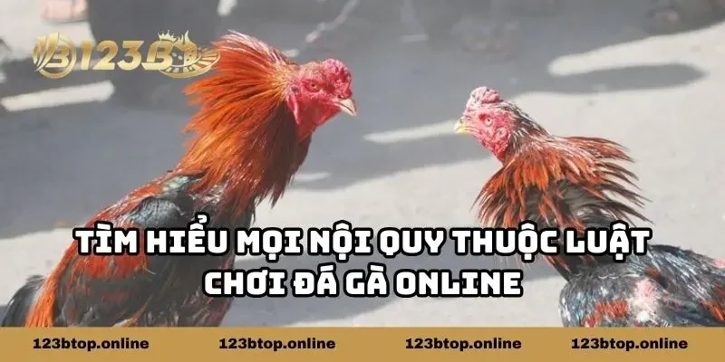 Tìm hiểu mọi nội quy thuộc luật chơi đá gà online