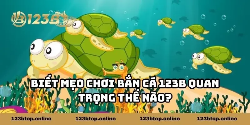 Biết mẹo chơi bắn cá 123B quan trọng thế nào?