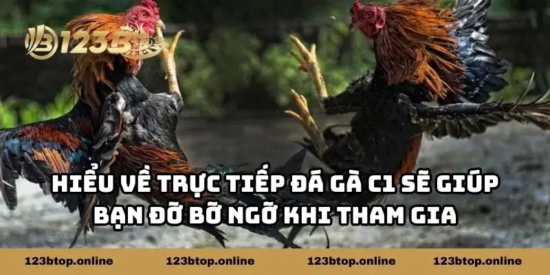 Hiểu về trực tiếp đá gà C1 sẽ giúp bạn đỡ bỡ ngỡ khi tham gia